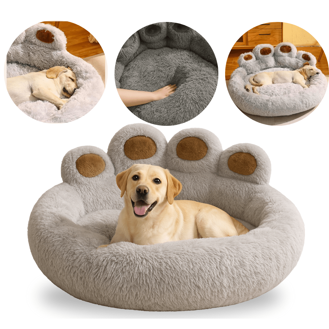 Cama Suave con Forma de Pata para Mascotas hasta 30kg - Muy Moderna Uruguay
