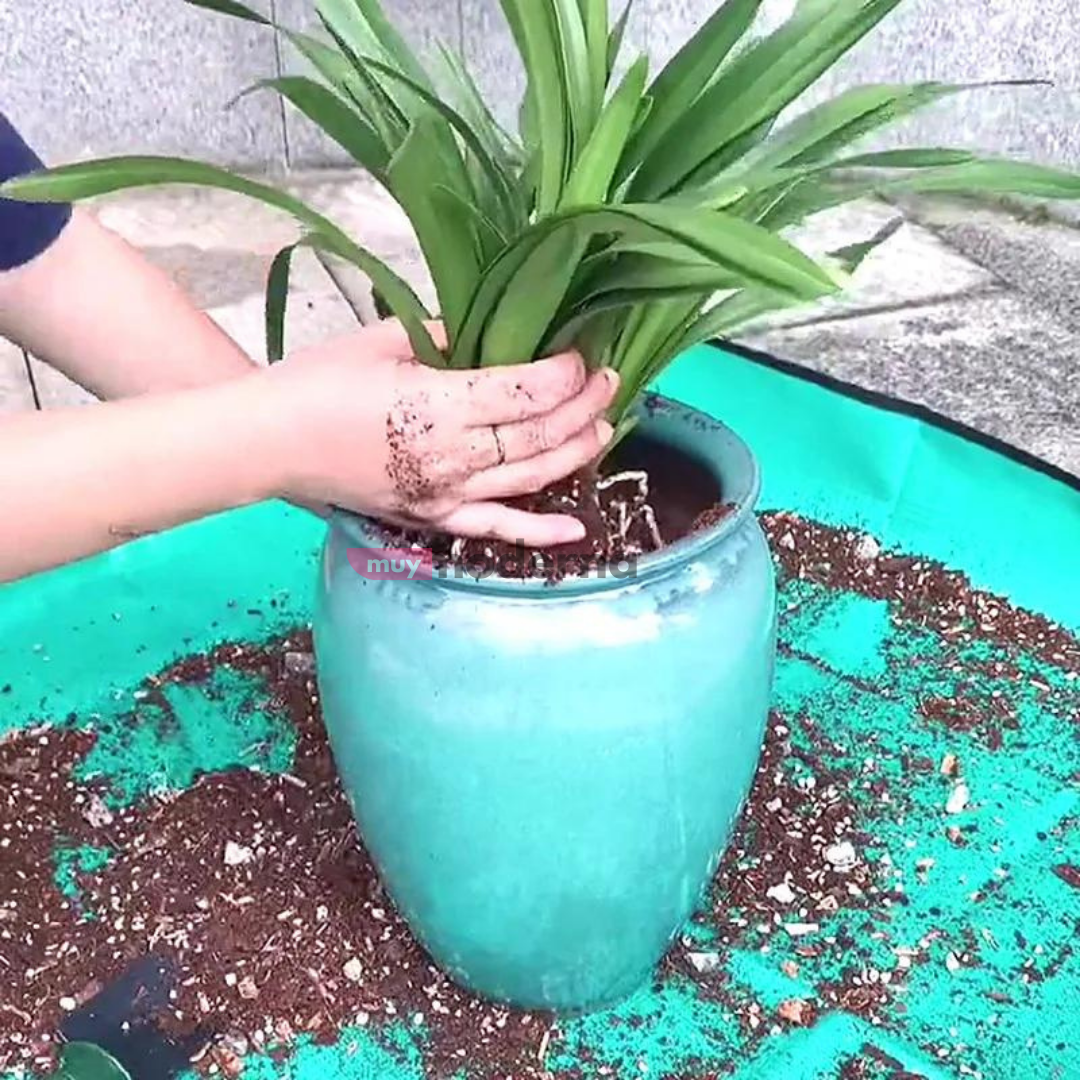 Alfombra Impermeable Para Trasplantar Plantas 100cm - Muy Moderna Uruguay