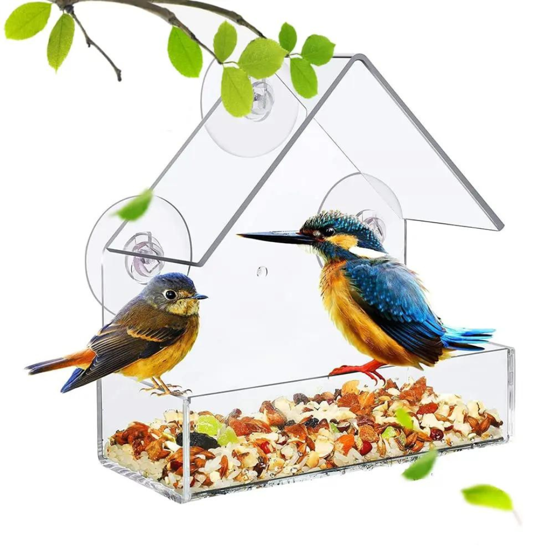 Comedero para Pájaros de Ventana con Ventosa - Muy Moderna Uruguay