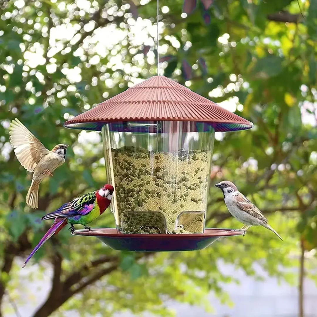 Comedero Automático Colgante para Pájaros - Muy Moderna Uruguay