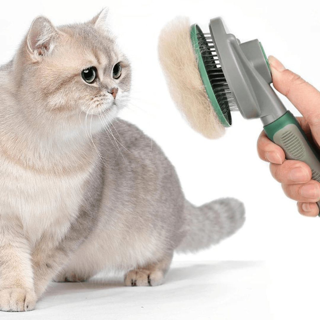 Cepillo Quita Pelo De Aseo Para Mascotas Con Botón Verde - Muy Moderna Uruguay