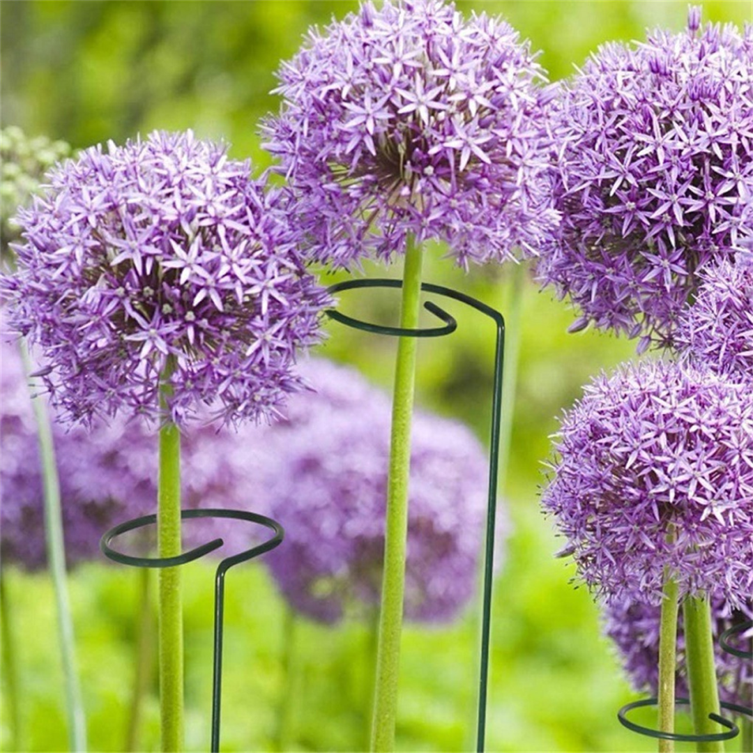 Set de 10 Tutores para Enderezar Plantas y Flores - Muy Moderna Uruguay