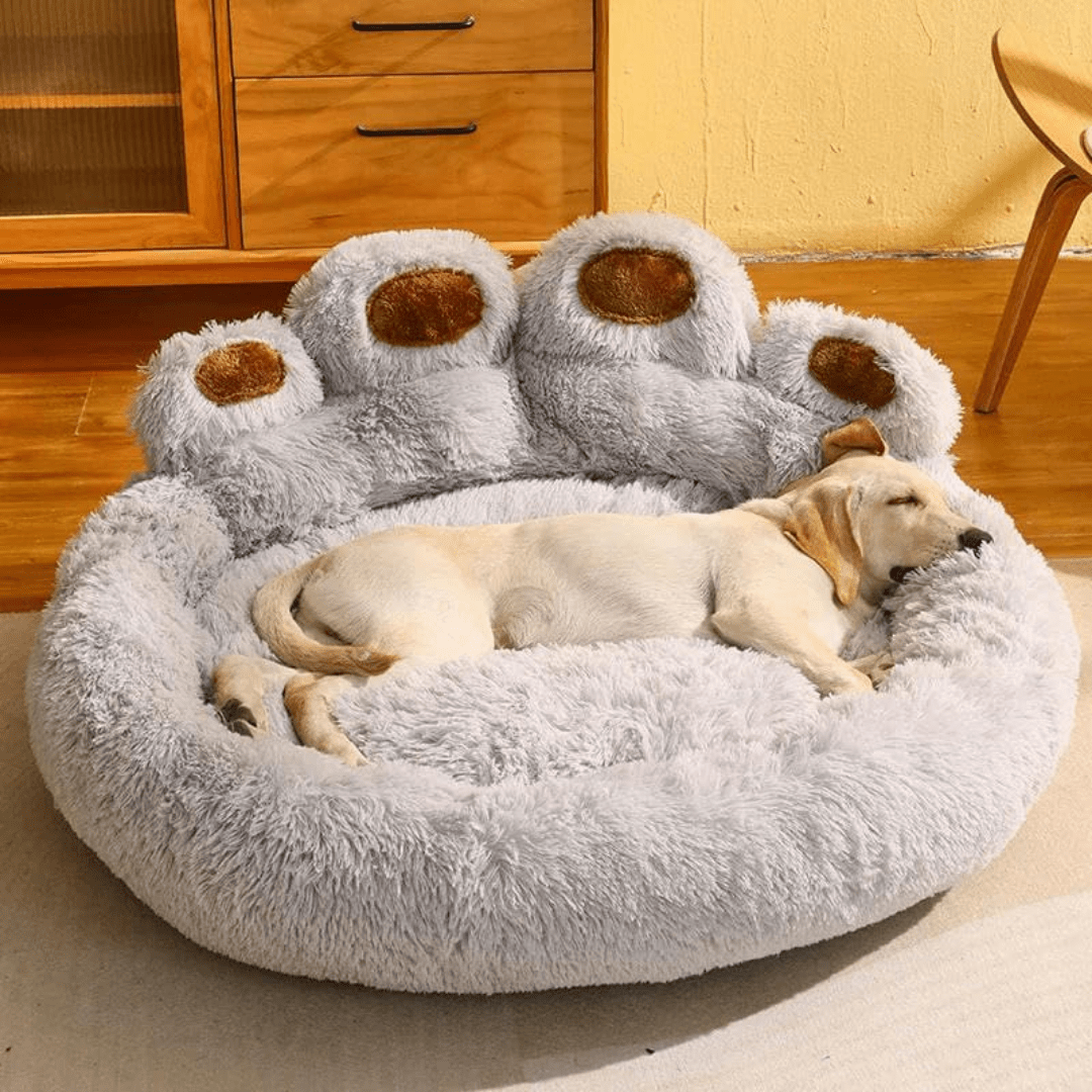 Cama Suave con Forma de Pata para Mascotas hasta 30kg - Muy Moderna Uruguay
