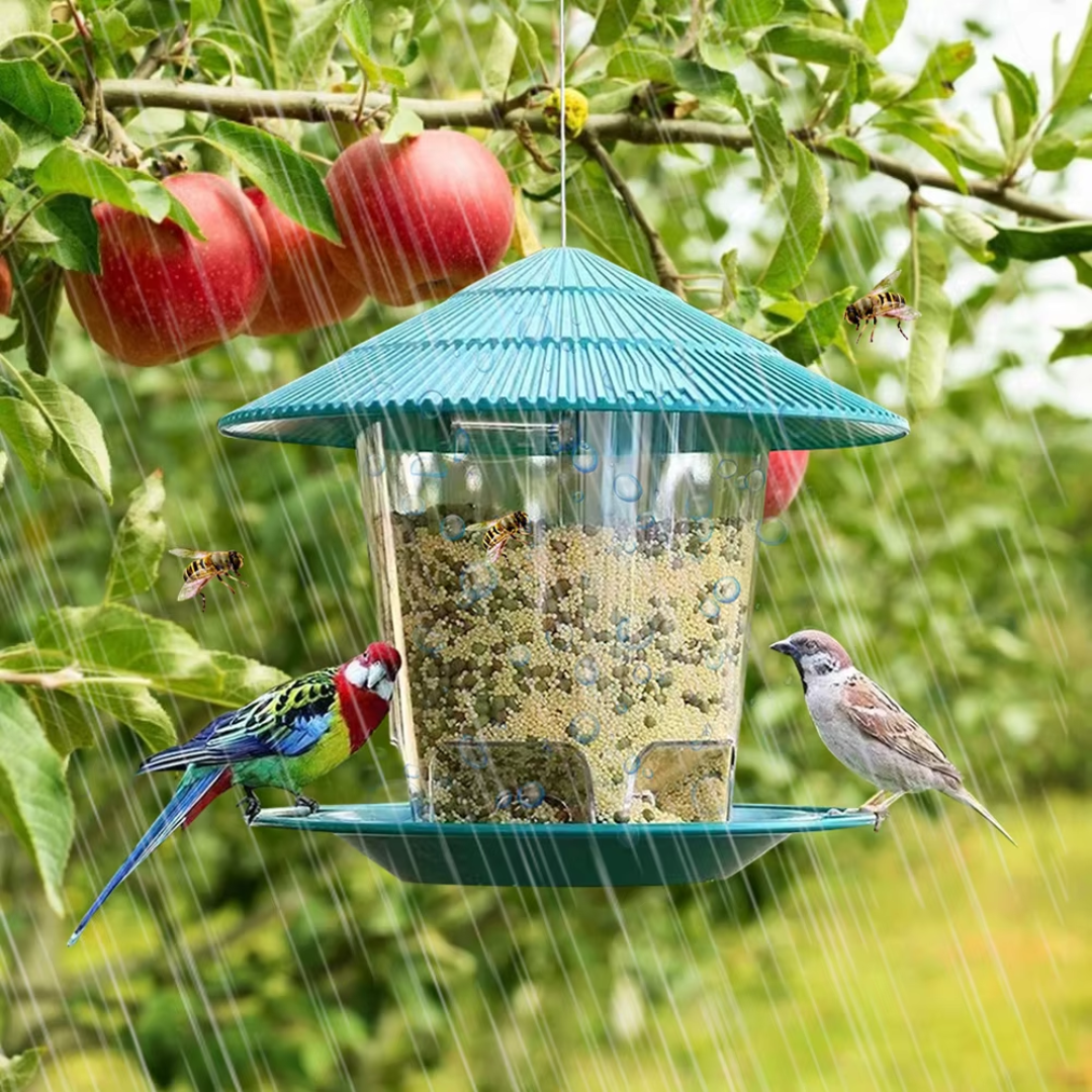Comedero Automático Colgante para Pájaros - Muy Moderna Uruguay