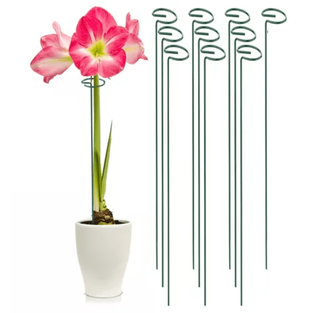Set de 10 Tutores para Enderezar Plantas y Flores - Muy Moderna Uruguay