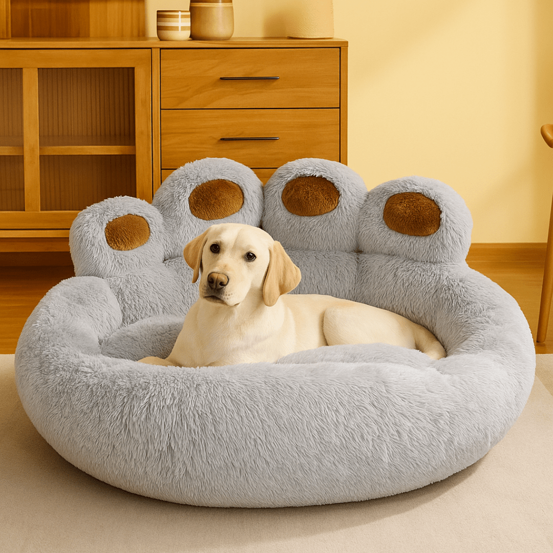 Cama Suave con Forma de Pata para Mascotas hasta 30kg - Muy Moderna Uruguay