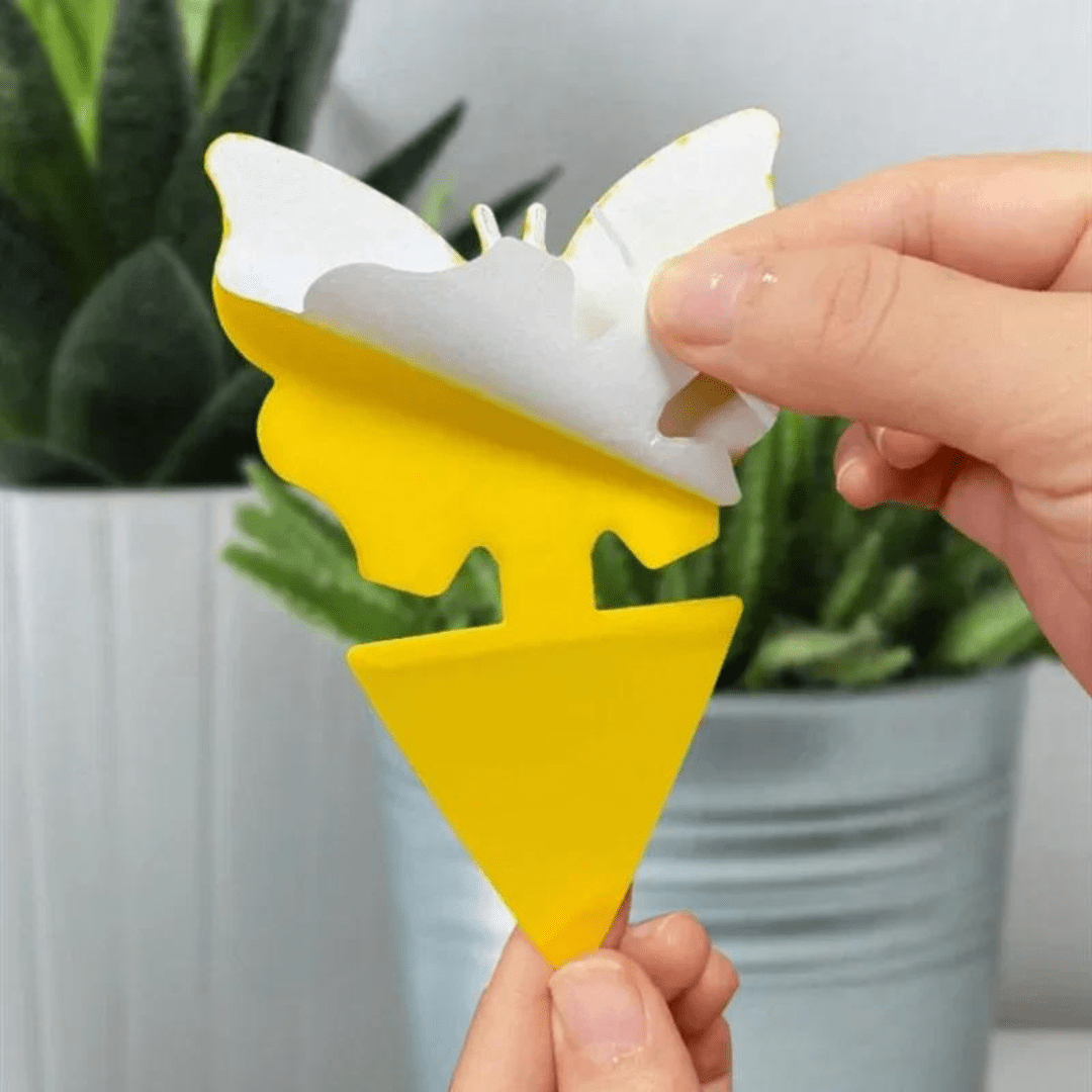 Set de 20 Trampas Adhesivas Anti Insectos para Plantas - Muy Moderna Uruguay