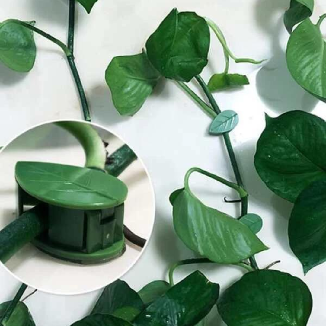 Set de 10 Clips Adhesivos Guia para Plantas