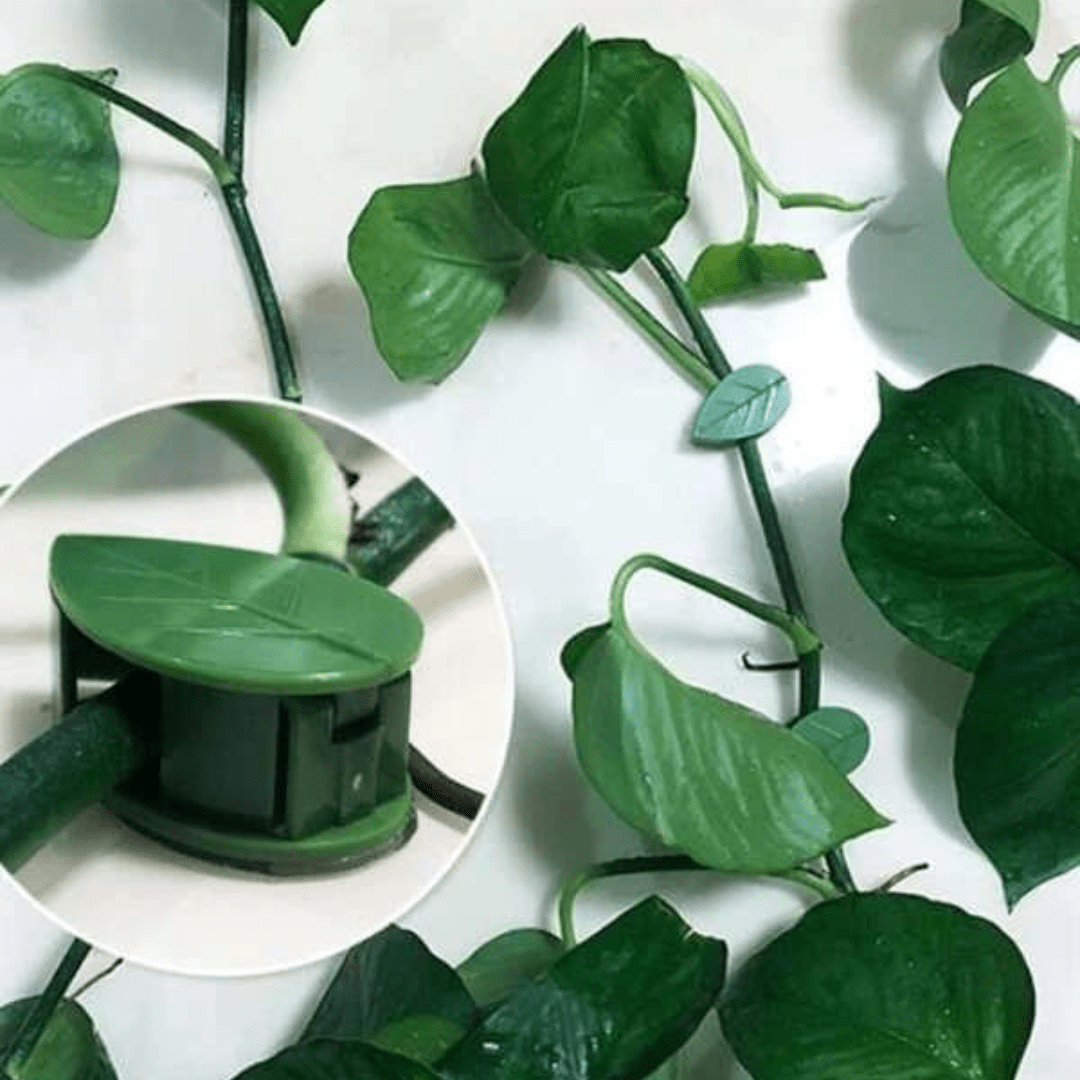 Set de 10 Clips Adhesivos Guia para Plantas - Muy Moderna Uruguay