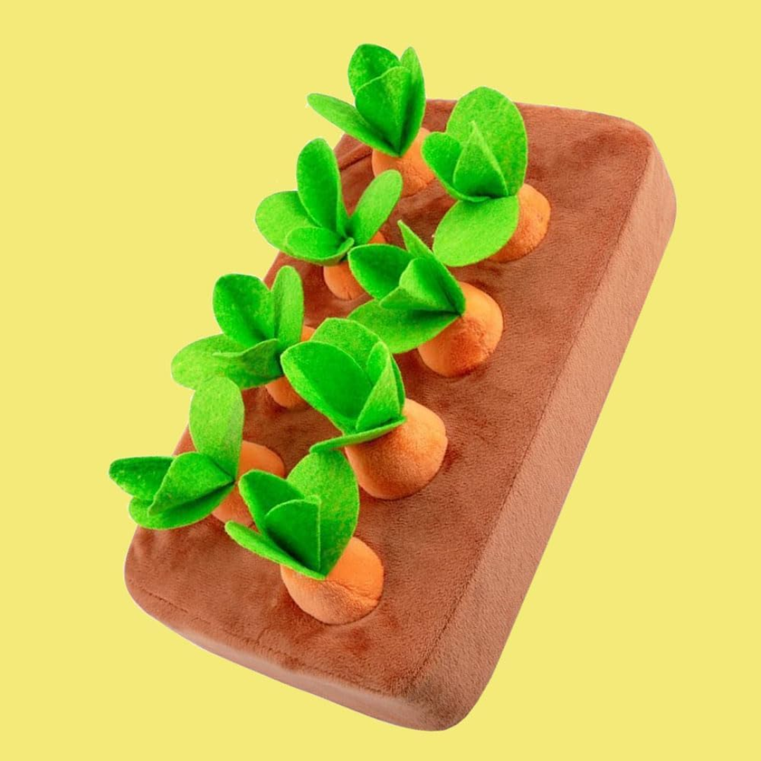 Juego Montessori Cosecha Zanahorias de Peluche