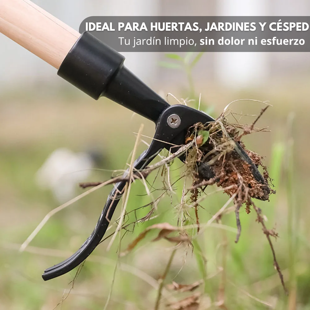 Cabezal Extractor De Malezas De Pie 4 Garras