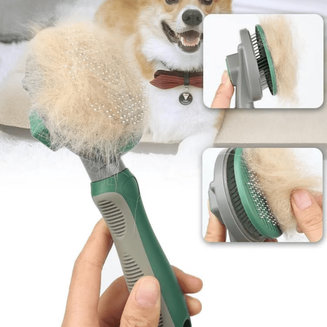 Cepillo Quita Pelo De Aseo Para Mascotas Con Botón Verde - Muy Moderna Uruguay