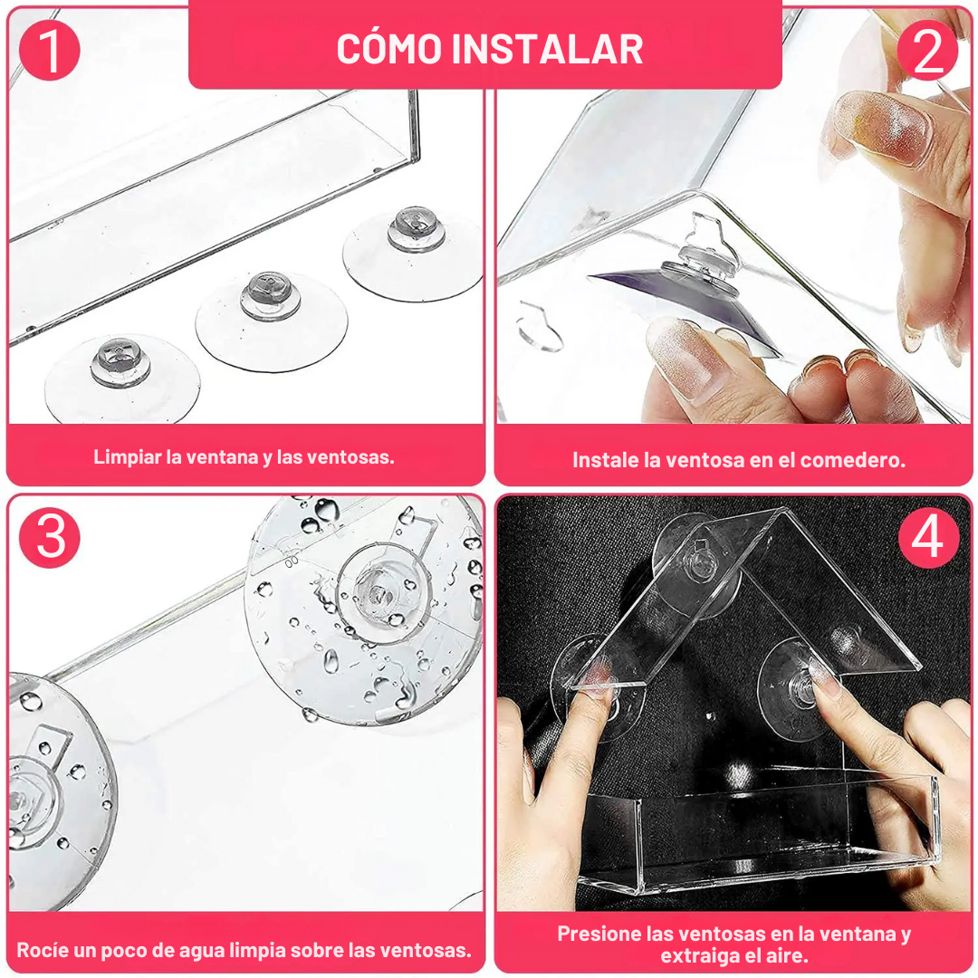 Comedero para Pájaros de Ventana con Ventosa