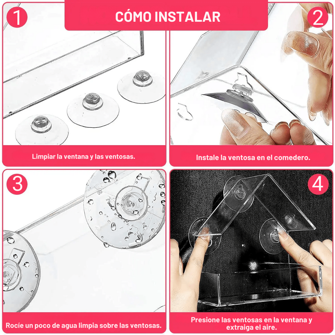 Comedero para Pájaros de Ventana con Ventosa - Muy Moderna Uruguay