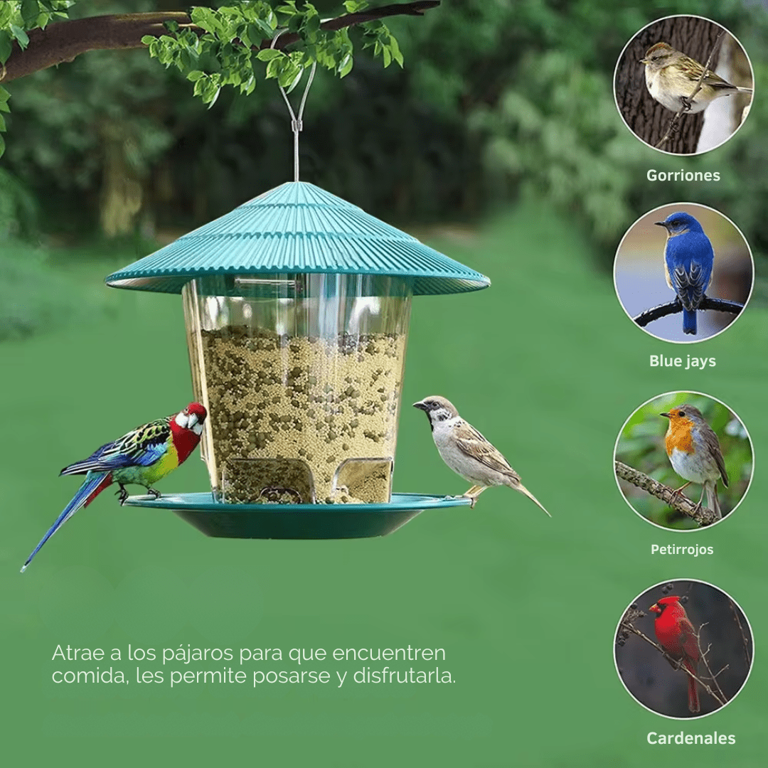 Comedero Automático Colgante para Pájaros - Muy Moderna Uruguay