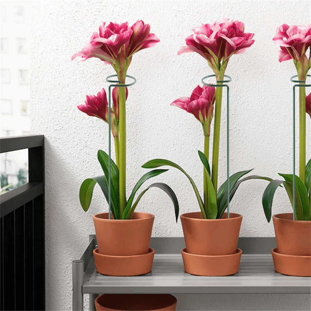 Set de 10 Tutores para Enderezar Plantas y Flores - Muy Moderna Uruguay