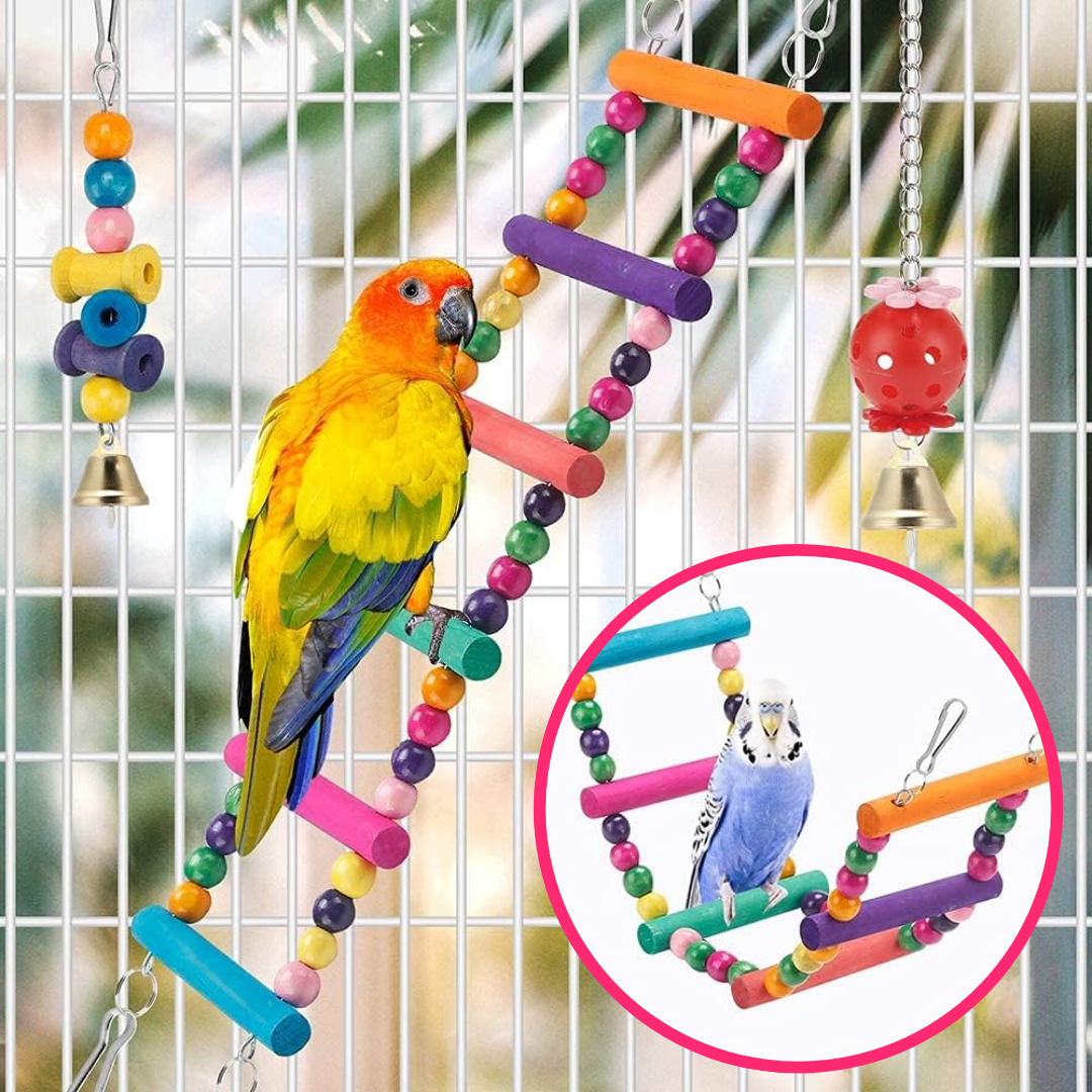 Juguetes de Jaula para Loros y Aves Hamacas y Accesorios - Muy Moderna Uruguay
