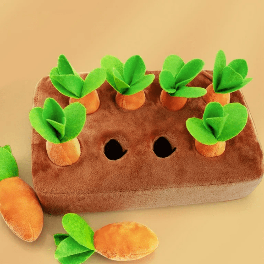 Juego Montessori Cosecha Zanahorias de Peluche - Muy Moderna Uruguay