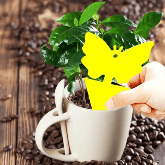 Set de 20 Trampas Adhesivas Anti Insectos para Plantas - Muy Moderna Uruguay