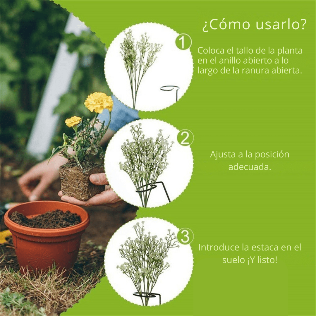 Set de 10 Tutores para Enderezar Plantas y Flores - Muy Moderna Uruguay