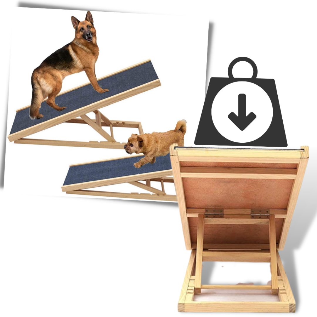 Rampa De Seguridad Ajustable Para Perros