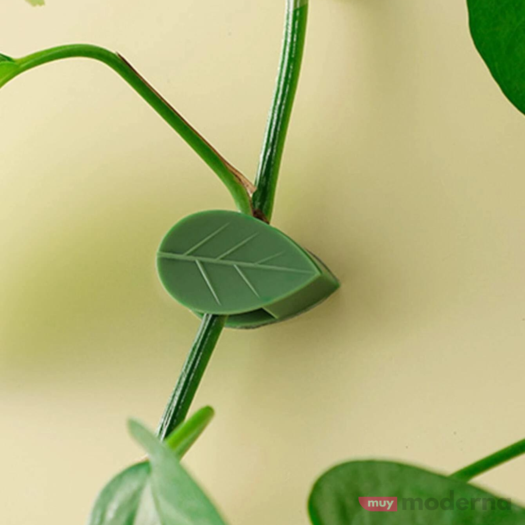 Set de 10 Clips Adhesivos Guia para Plantas