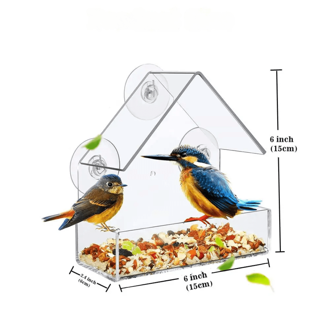 Comedero para Pájaros de Ventana con Ventosa - Muy Moderna Uruguay