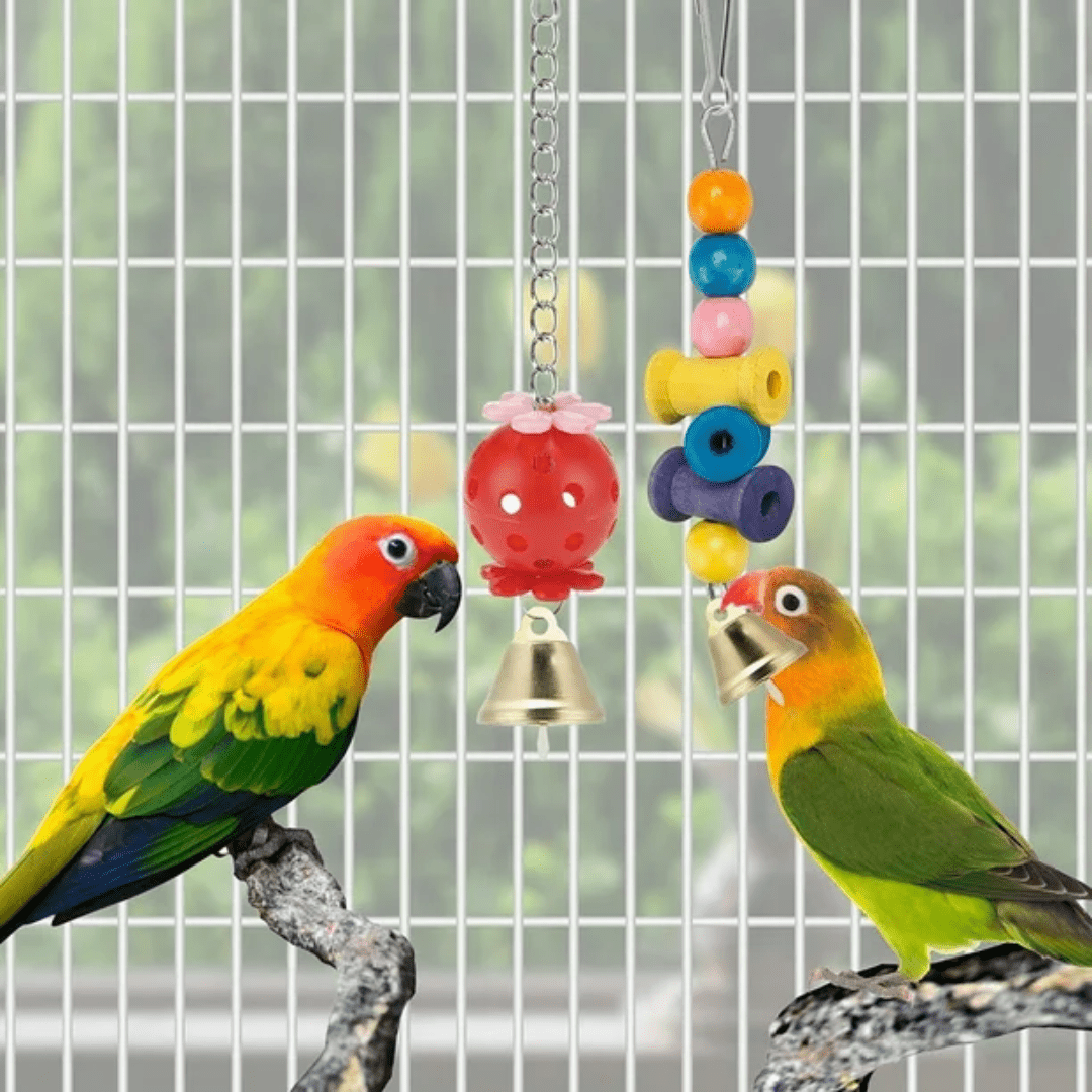 Juguetes de Jaula para Loros y Aves Hamacas y Accesorios - Muy Moderna Uruguay