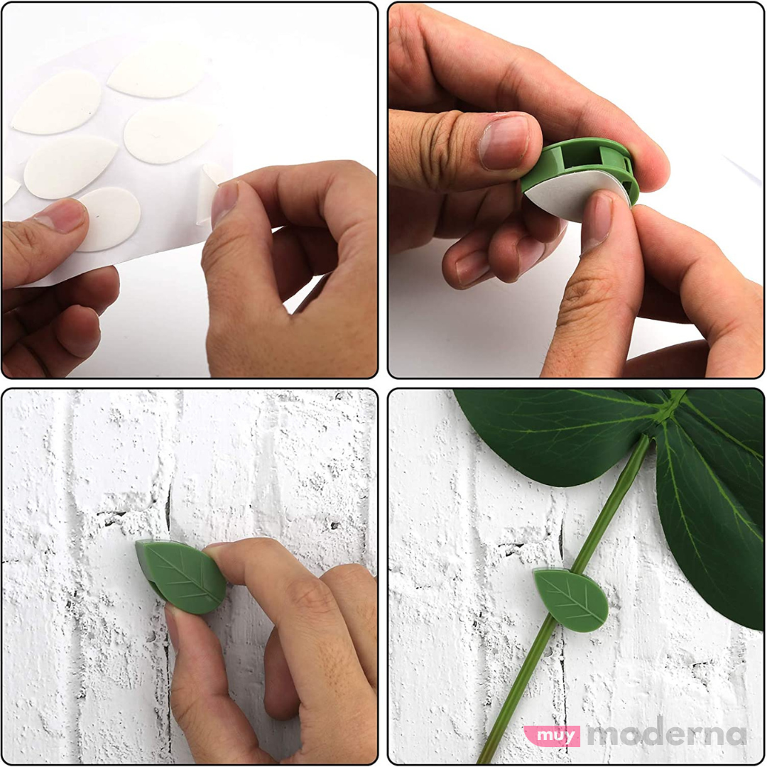 Set de 10 Clips Adhesivos Guia para Plantas