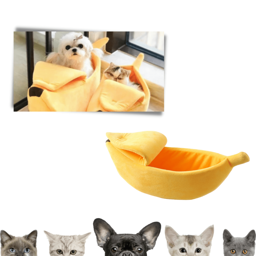 Cama de Banana para Mascotas (50cm) - Muy Moderna Uruguay
