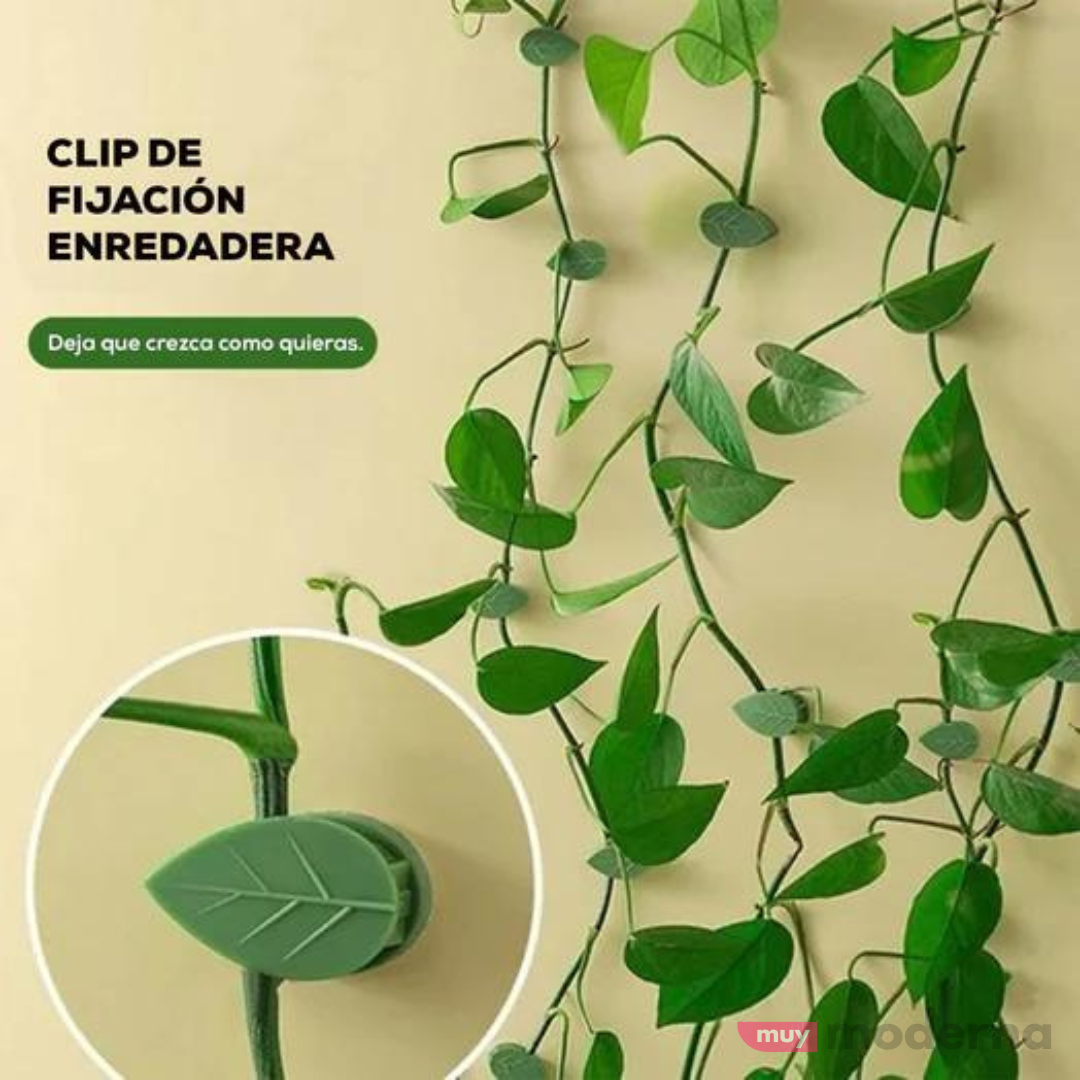 Set de 10 Clips Adhesivos Guia para Plantas
