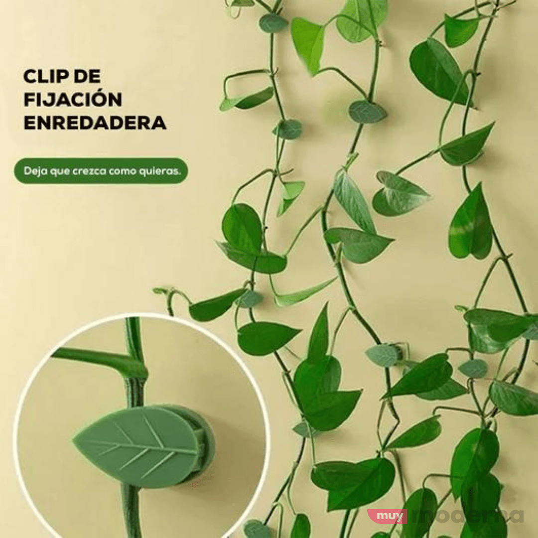 Set de 10 Clips Adhesivos Guia para Plantas - Muy Moderna Uruguay