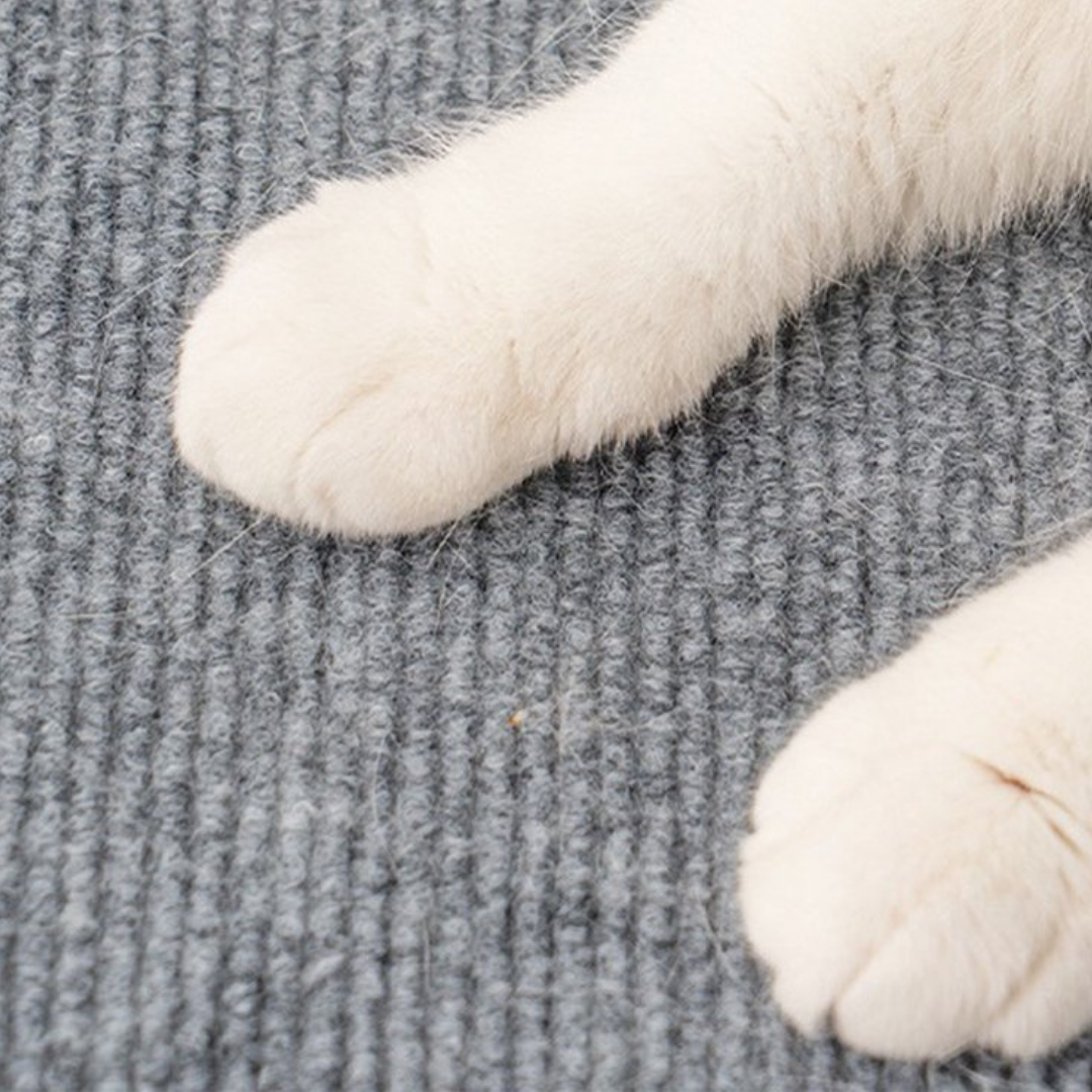 Rascador para Gato Protector de Sillones Autoadhesivo