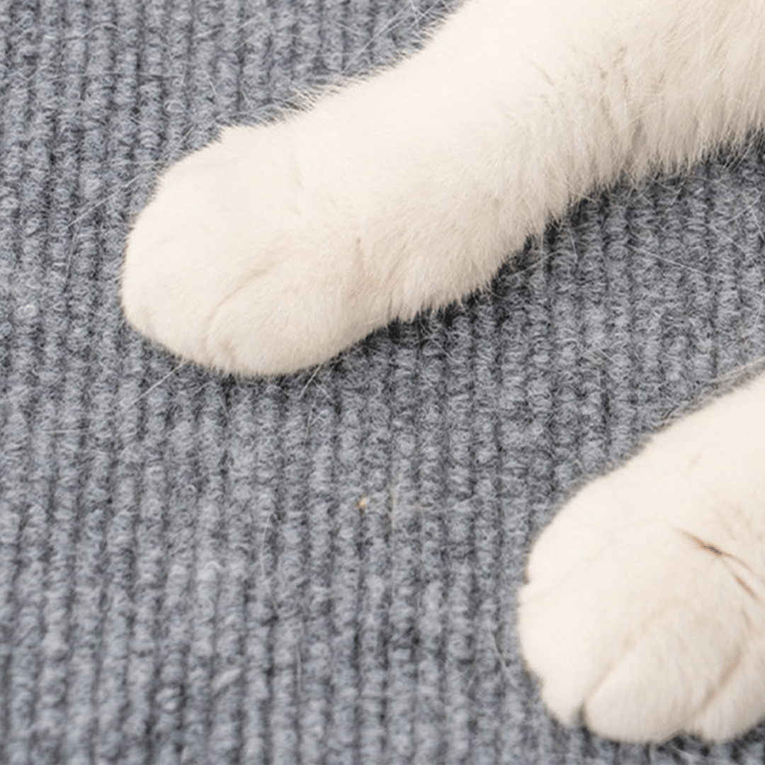 Rascador para Gato Protector de Sillones Autoadhesivo - Muy Moderna Uruguay