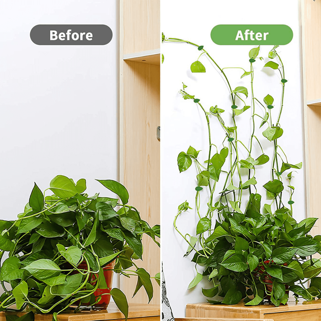 Set de 10 Clips Adhesivos Guia para Plantas - Muy Moderna Uruguay