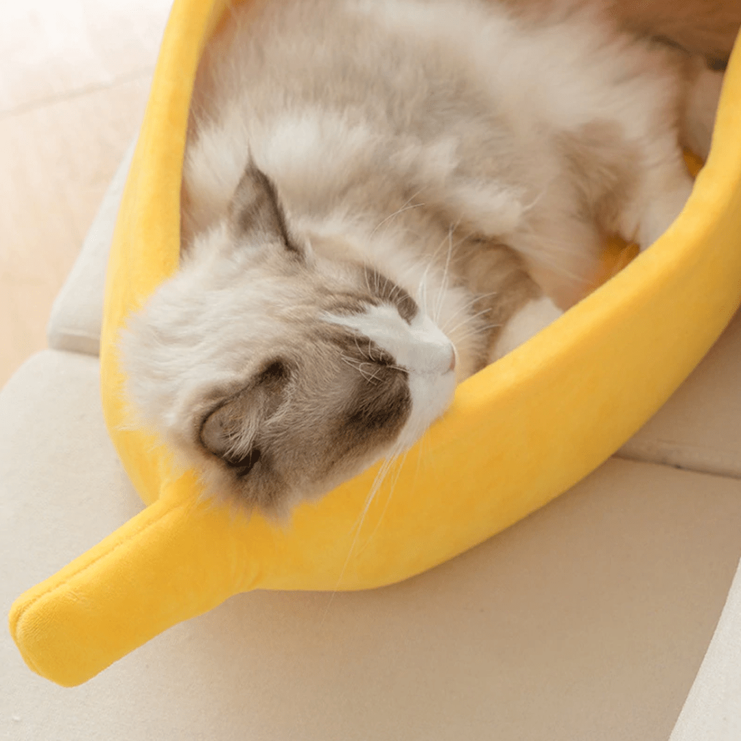 Cama de Banana para Mascotas (50cm) - Muy Moderna Uruguay