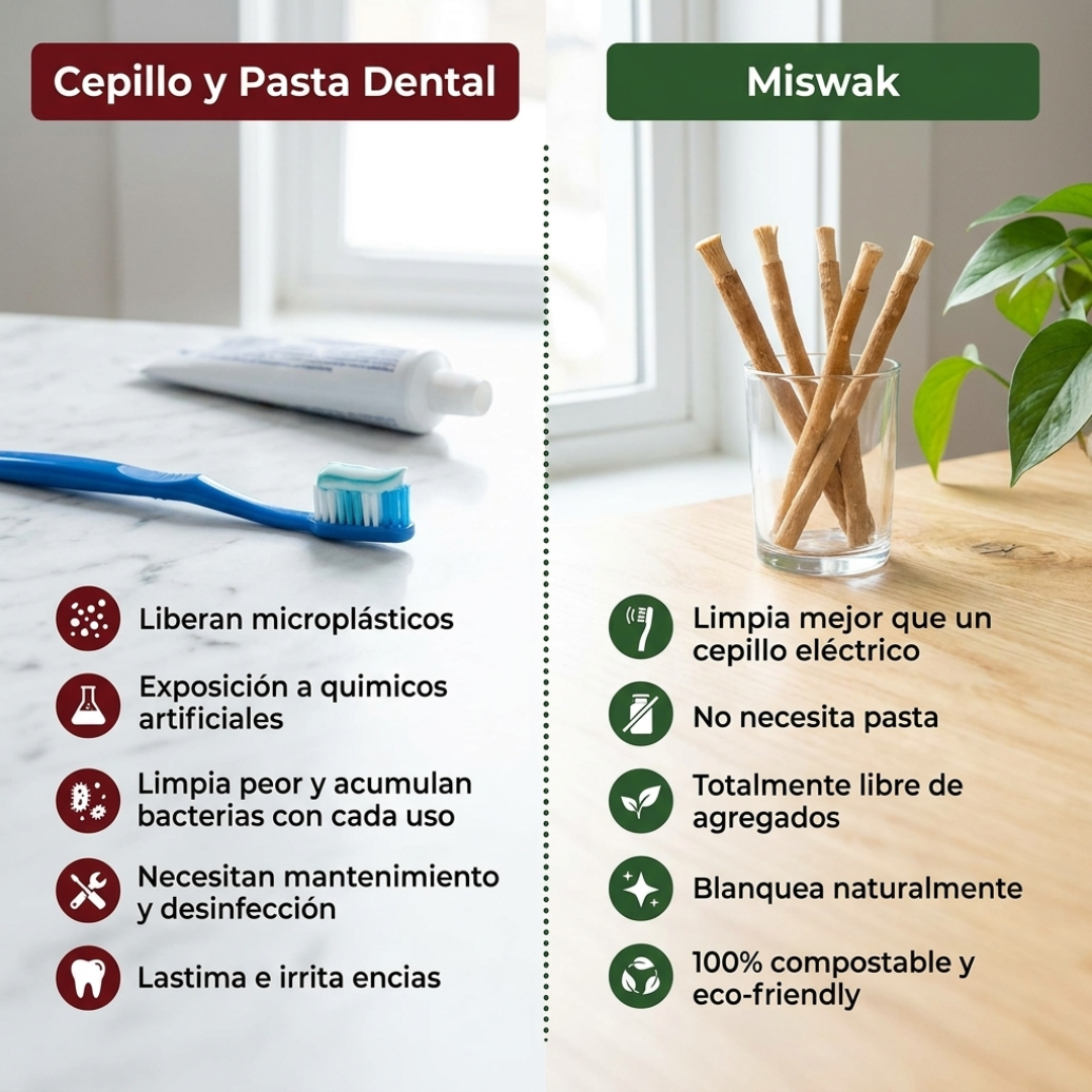 Cepillo de Dientes Natural Miswak - Pack x10 Ecológico y Biodegradable