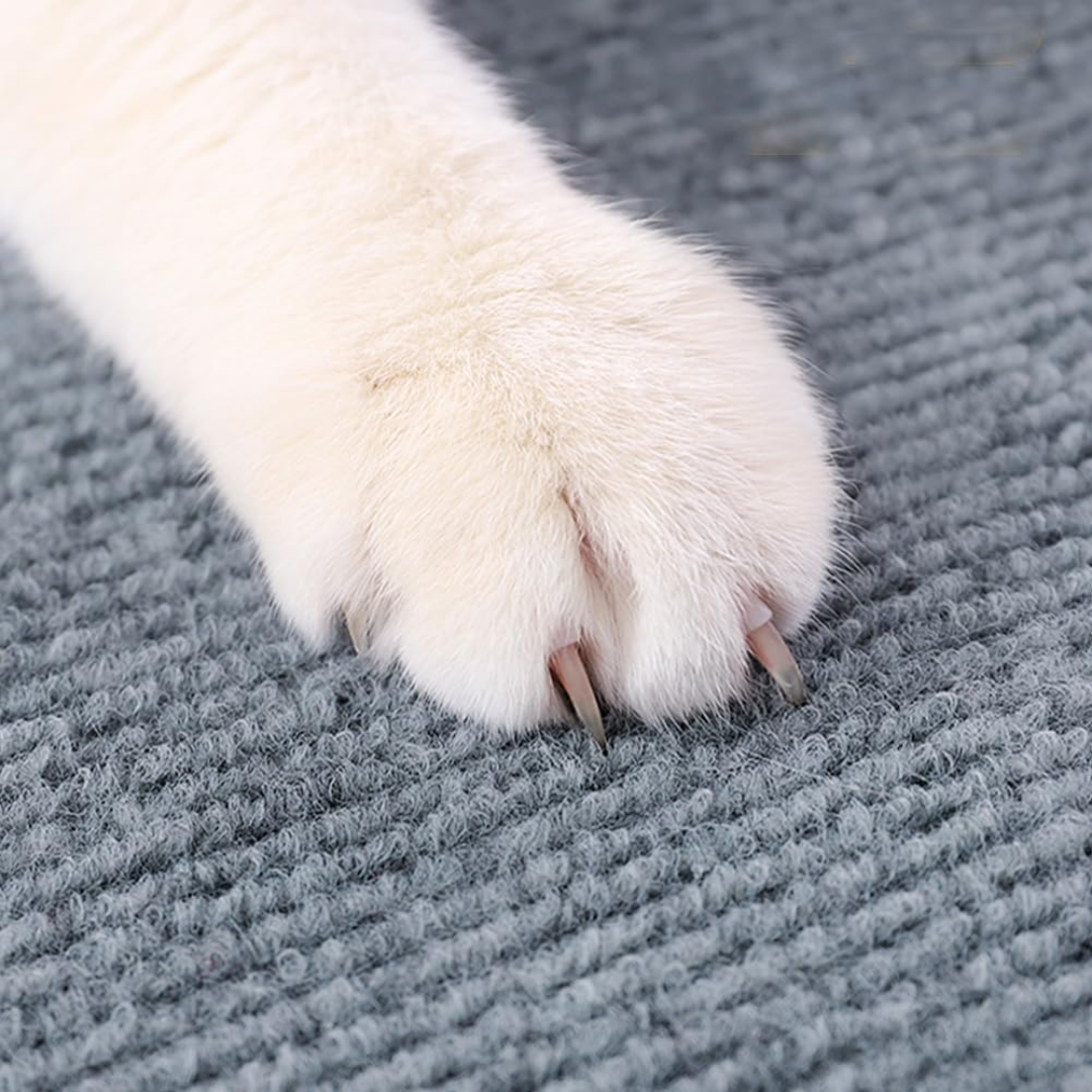 Rascador para Gato Protector de Sillones Autoadhesivo