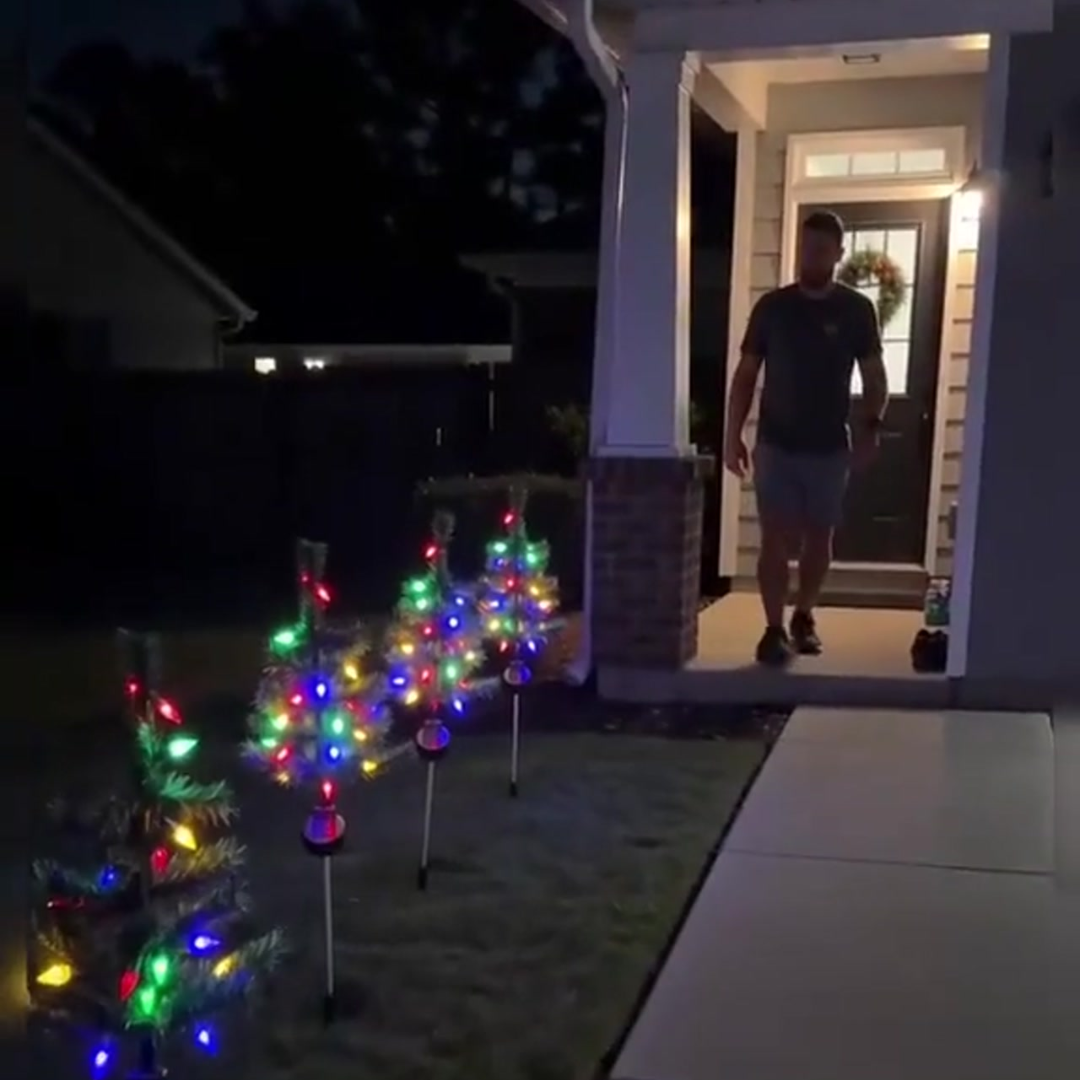 Pack x2 Árbol de Navidad Solar LED con Estaca para Jardín 84 cm