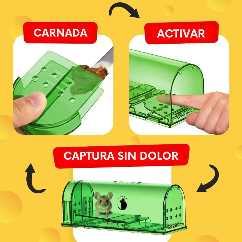 Pack x4 Trampa Para Ratas Ratones con Liberación Sin Dolor