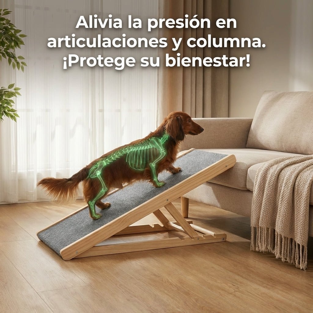 Rampa De Seguridad Ajustable Para Perros muymo hogar - Muy Moderna Uruguay