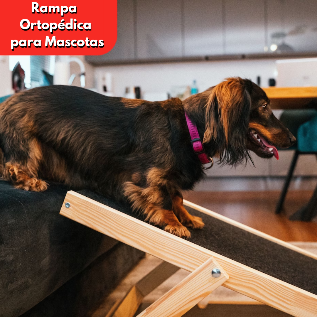 Rampa De Seguridad Ajustable Para Perros