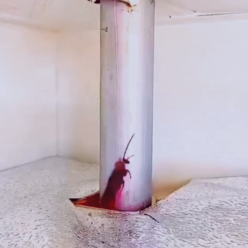 Espuma Moldeable para Sellar Grietas y Agujeros 300g