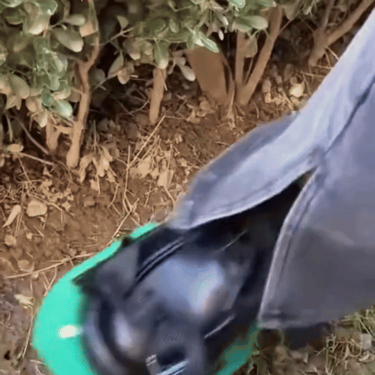 Cuchillo Largo de Cocina TATSU