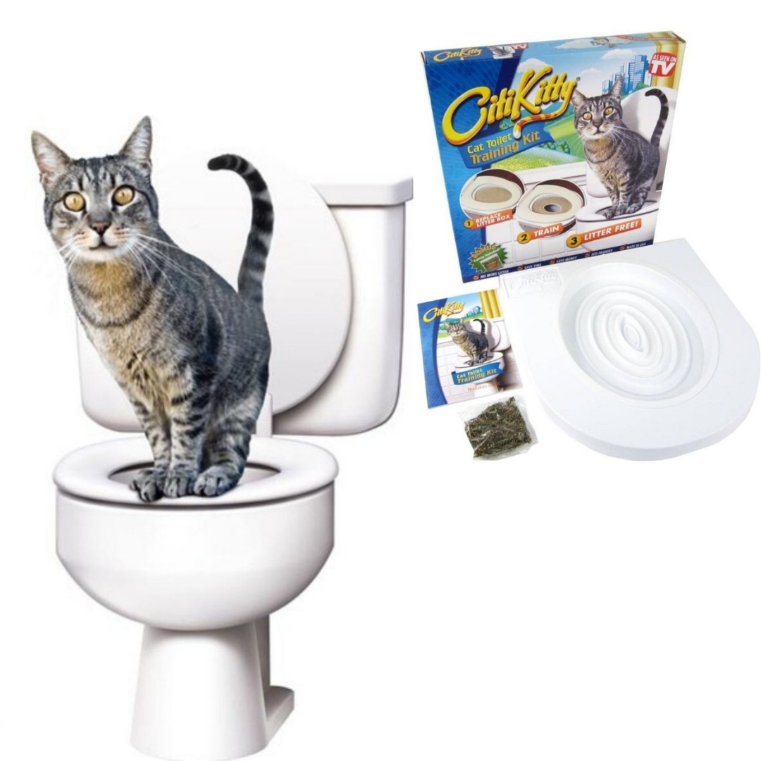 Kit de Entrenamiento de Gatos Citi Kitty