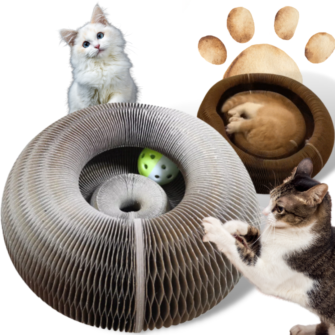 Scratchy Rascador con Pelota para Gatos