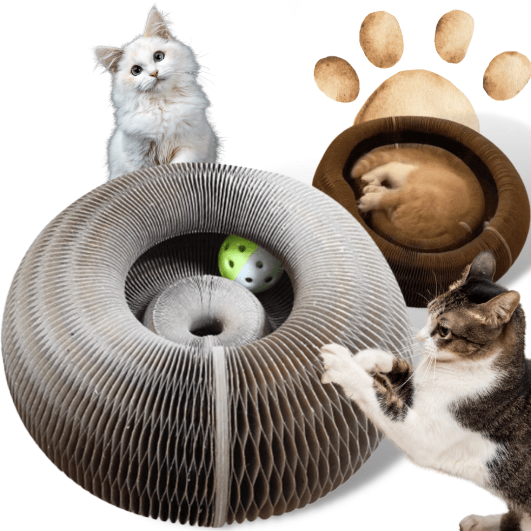 Scratchy Rascador con Pelota para Gatos - Muy Moderna Uruguay