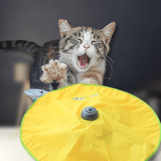 Juguete de Varita Automática para Gatos - Muy Moderna Uruguay