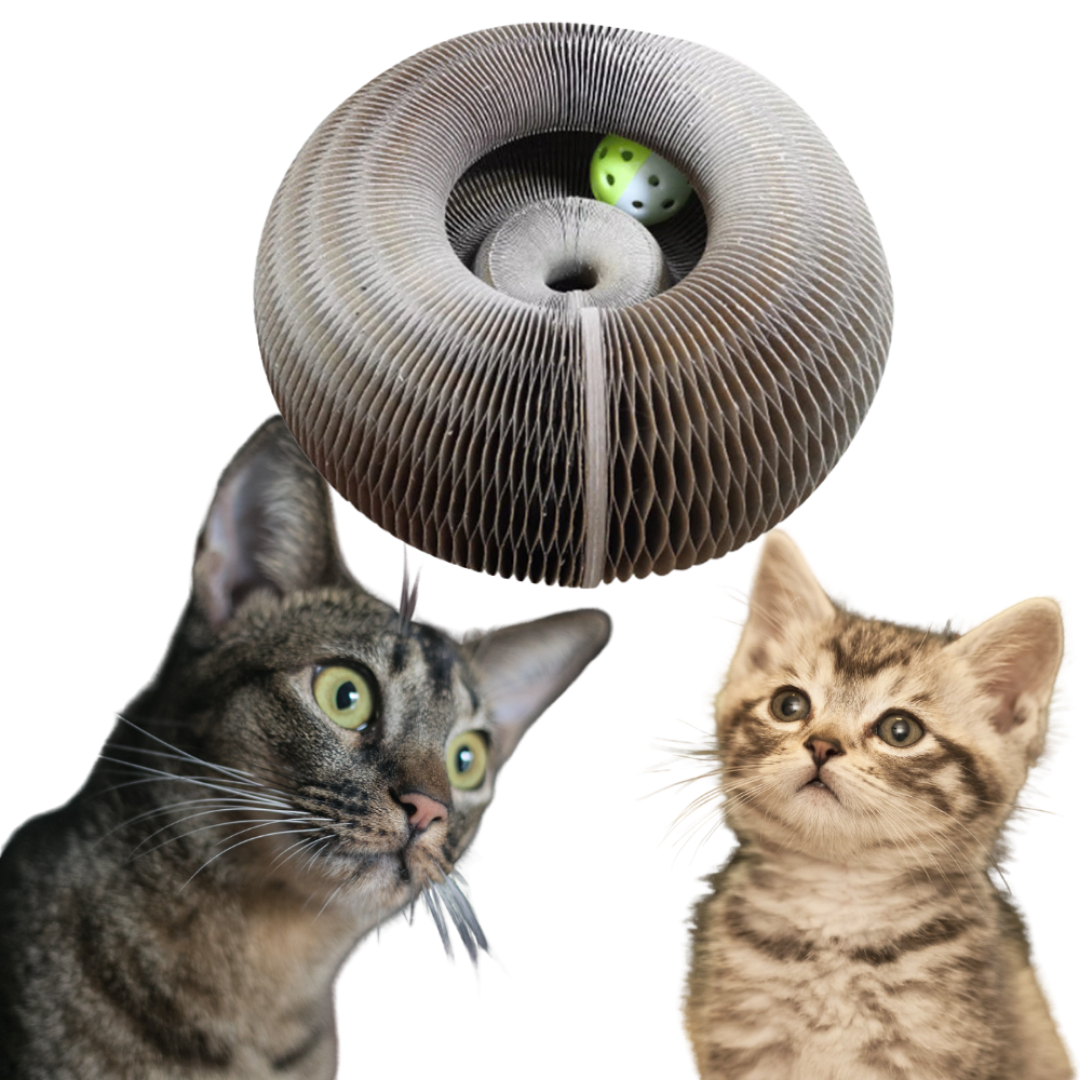 Scratchy Rascador con Pelota para Gatos