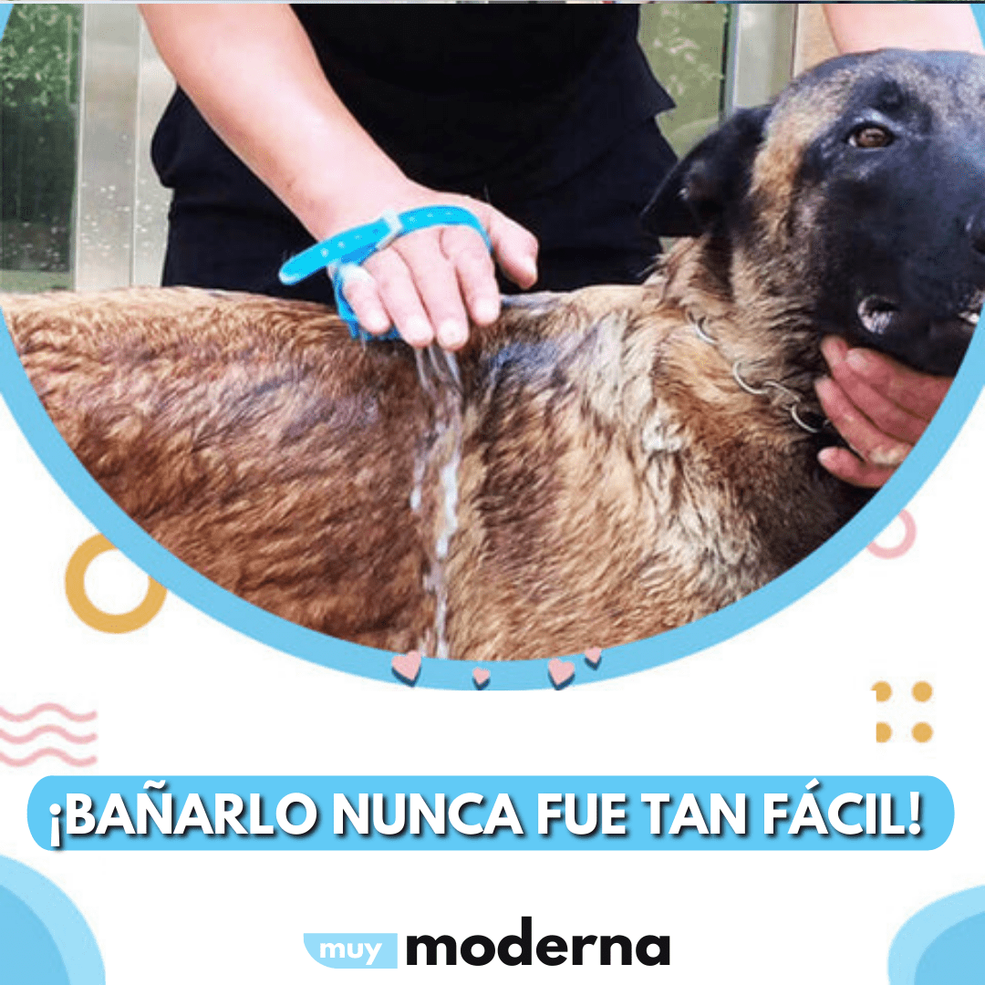 Manguera para Mascotas Bathing Tool - Muy Moderna Uruguay